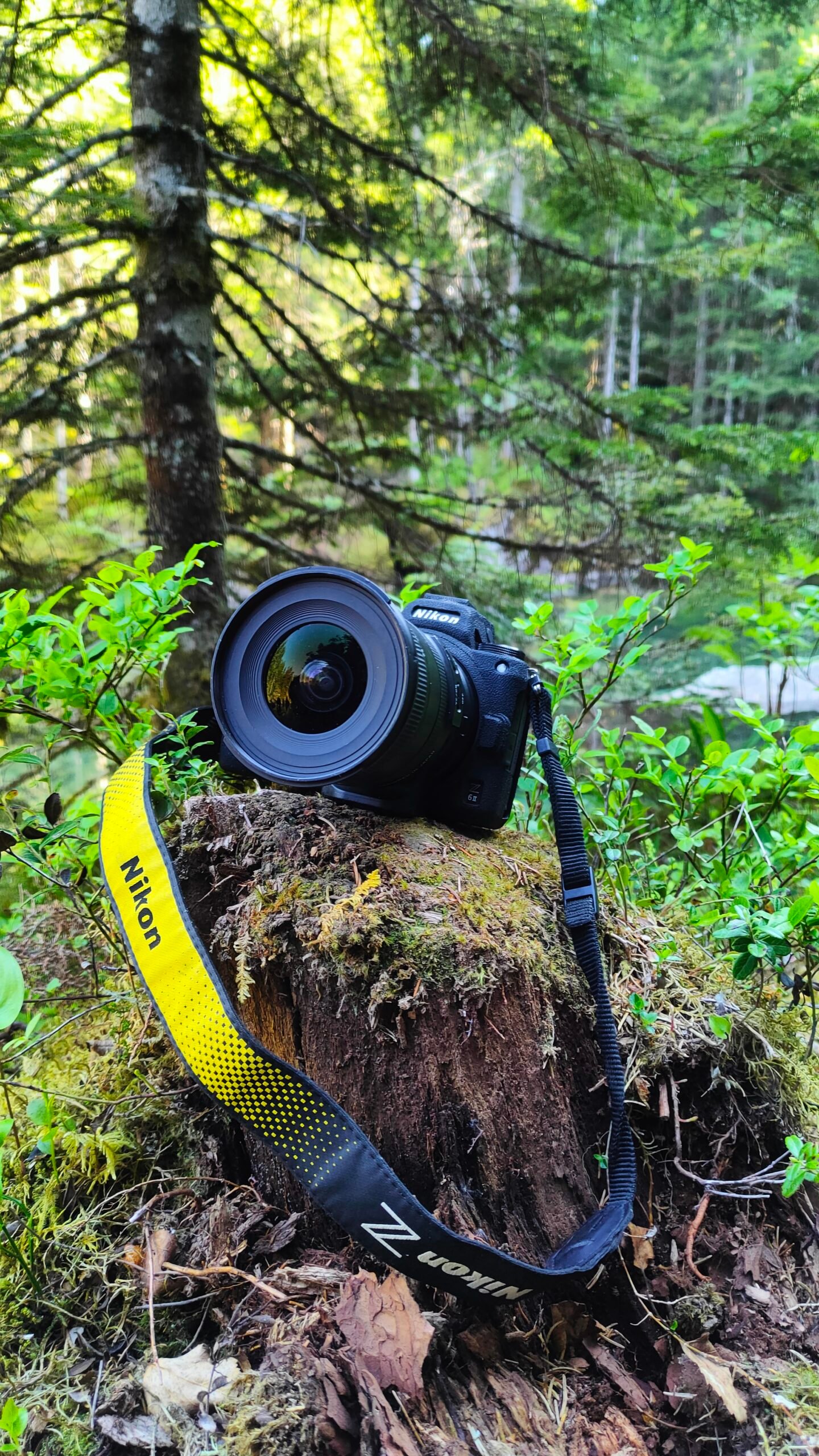 Un appareil photo Nikon installé sur une souche d'arbre. Il est équipé d'un objectif grand angle et une forêt avec des arbres entoure l'appareil photo.