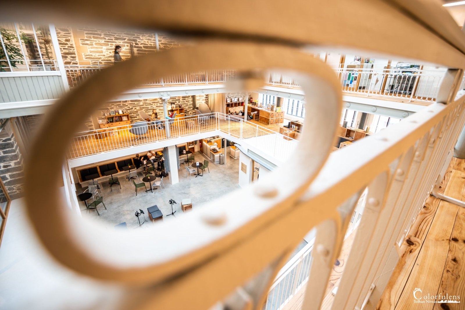 Photographie d'une bibliothèque contemporaine avec étagères en bois, inondée de lumière naturelle.