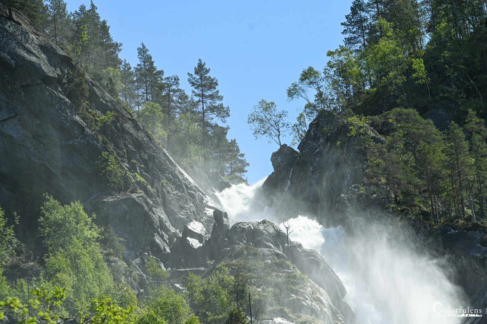 Cascade majestueuse en Norvège plongeant dans la brume avec une forêt en toile de fond, capturant la puissance et la sérénité de la nature.