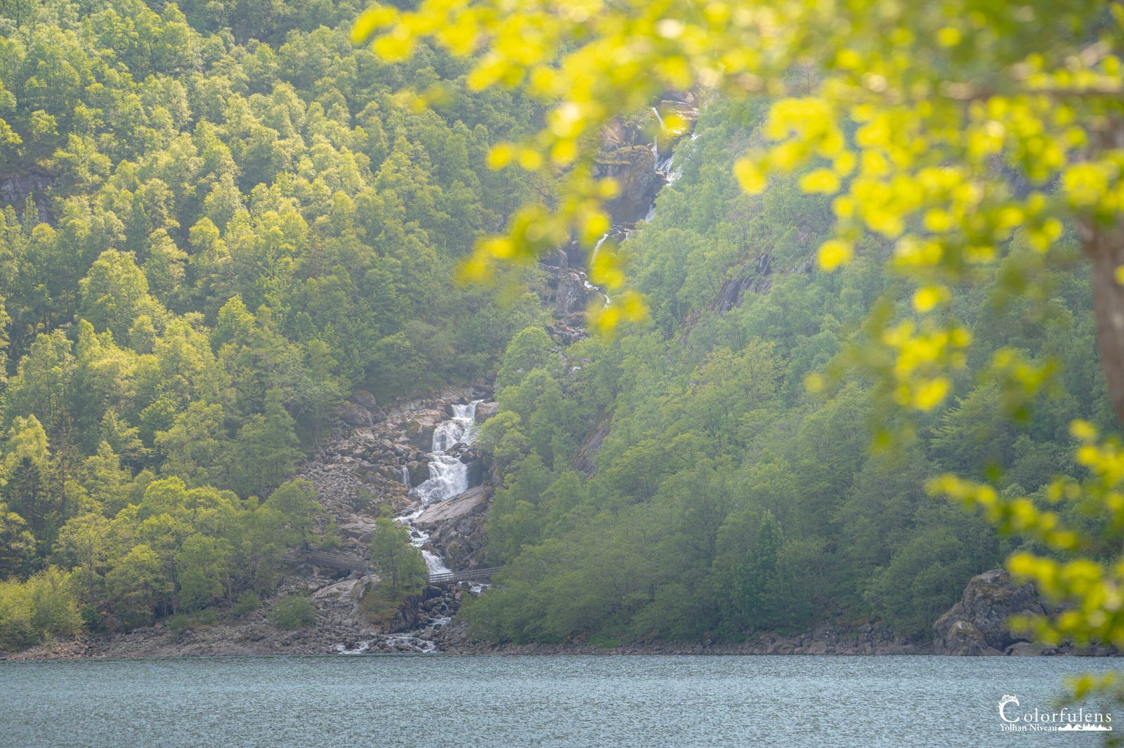 Une cascade majestueuse s'écoule dans un lac de montagne bordé d'arbres verdoyants au printemps, transmettant une sérénité naturelle.