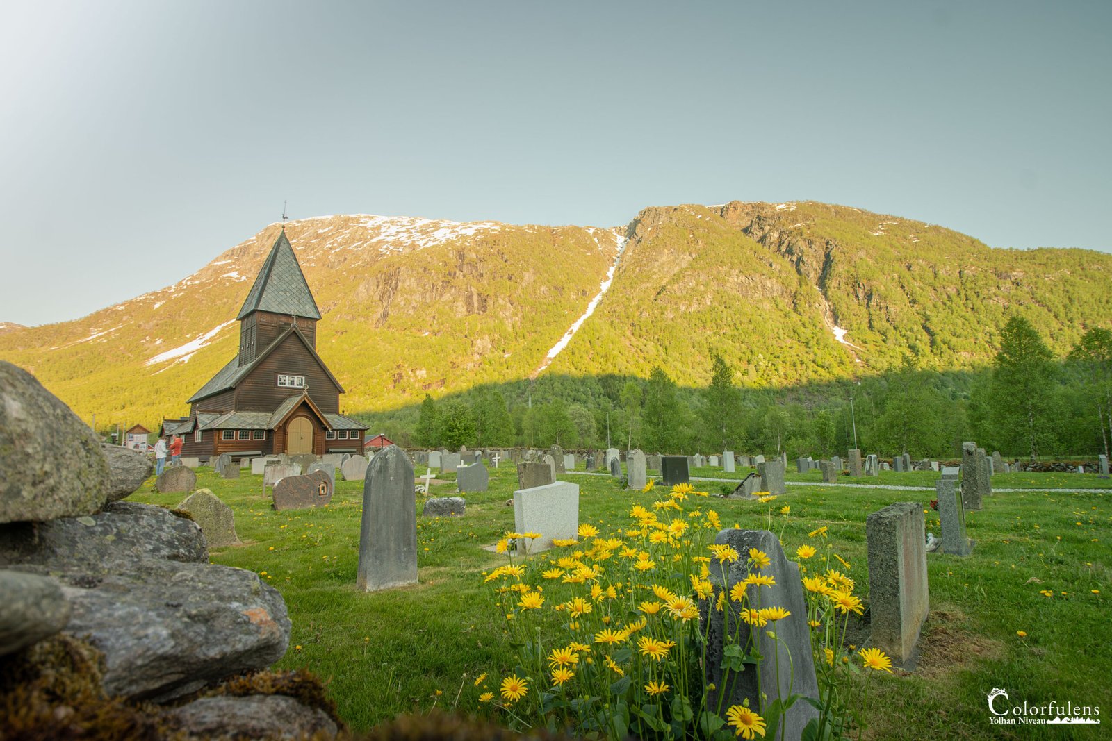 Église traditionnelle norvégienne en bois dans un paysage montagneux, entourée de fleurs jaunes et d'un cimetière paisible.