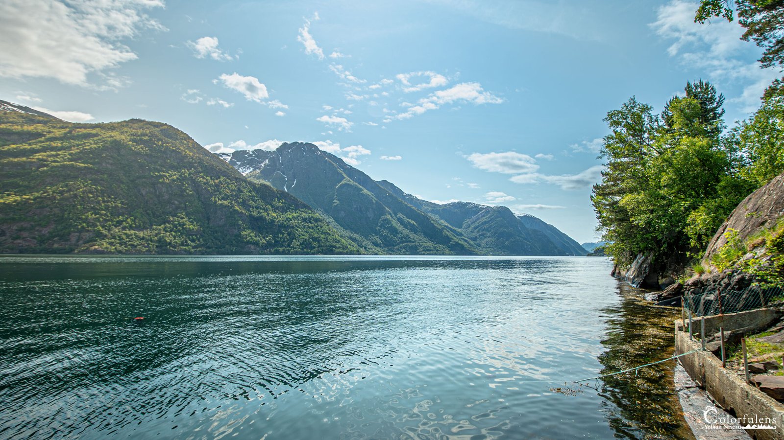 Vue sereine du Hardangerfjord en Norvège, capturant la tranquillité de l'eau calme reflétant les montagnes verdoyantes sous un ciel lumineux.