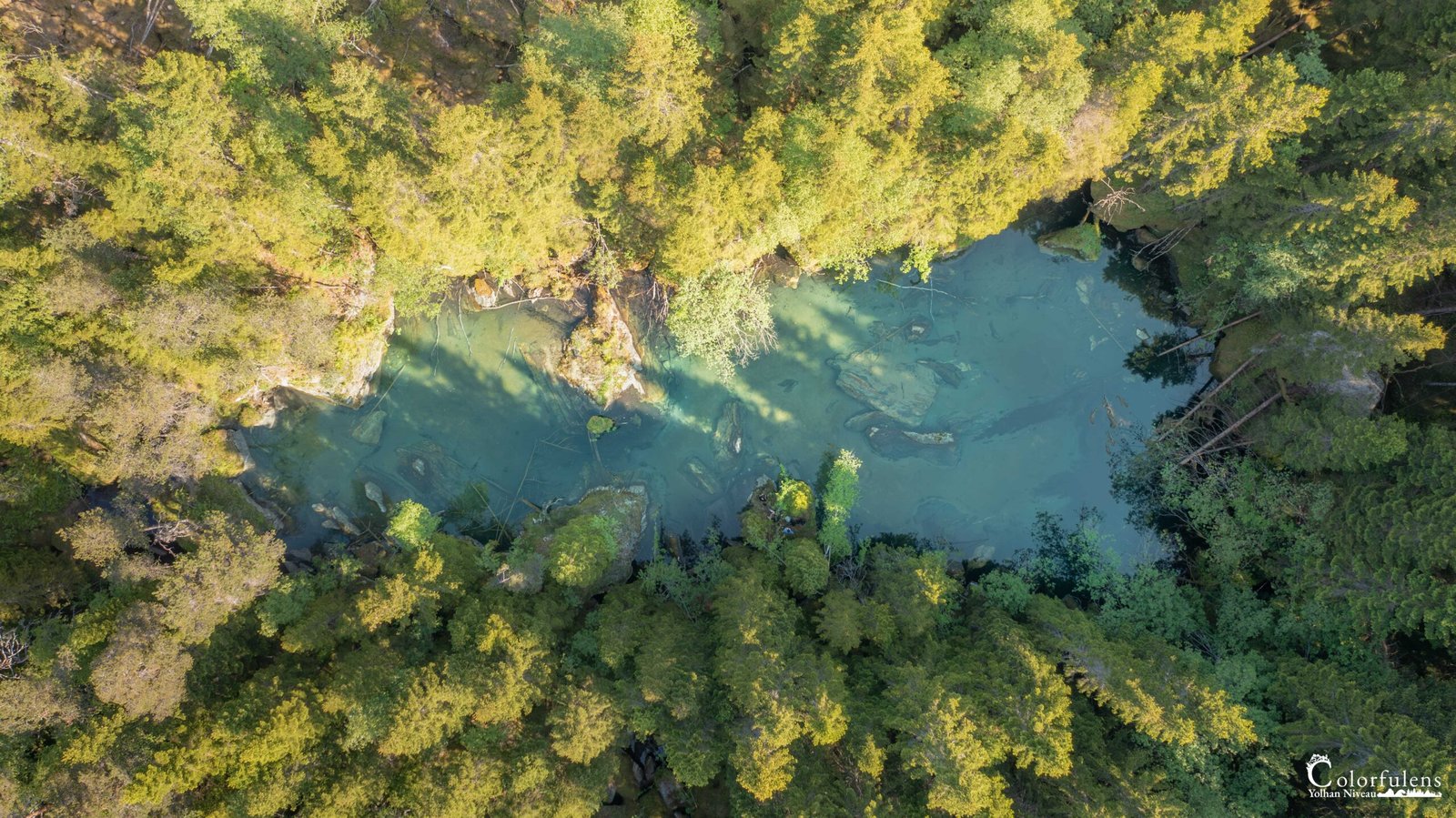 Prise de vue aérienne d'une rivière traversant une forêt dense, illustrant l'harmonie naturelle entre l'eau et les arbres.