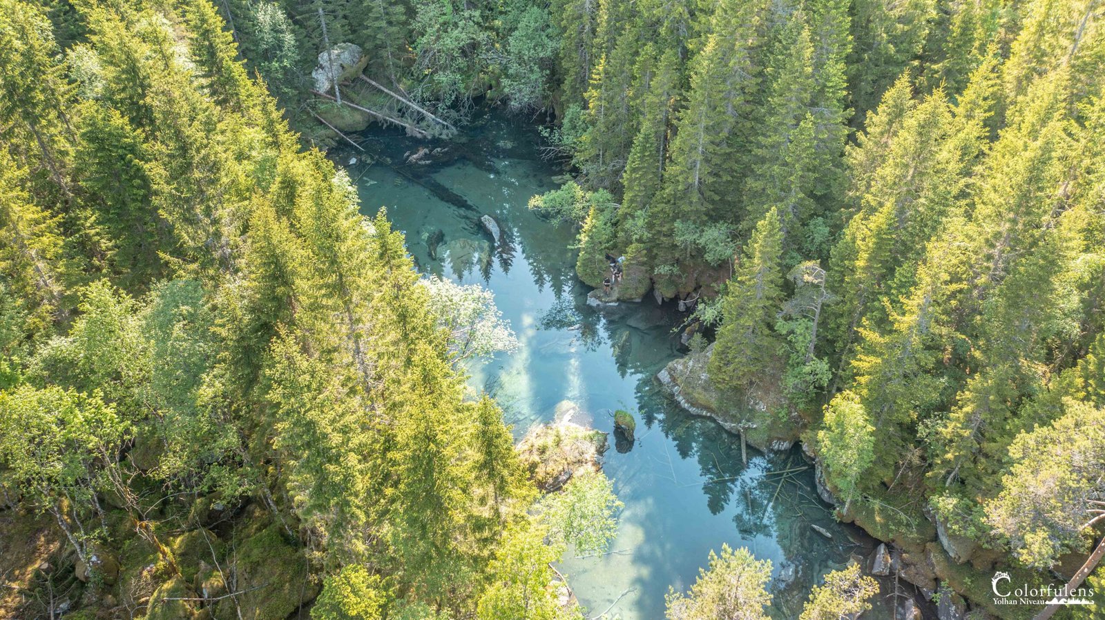 Photo aérienne d'une rivière claire serpentant dans une forêt verdoyante, capturant l'essence de la nature préservée.