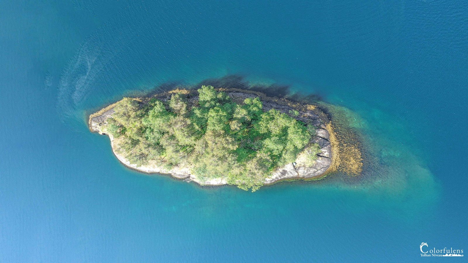 Vue aérienne de l'îlot Gaupholmen baignant dans des eaux turquoise, mettant en valeur une végétation dense et vibrante.