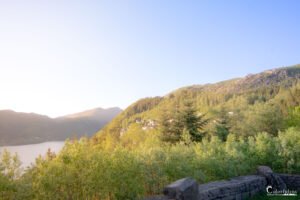 Lever de soleil serein sur une forêt norvégienne avec des rayons lumineux filtrant à travers les arbres