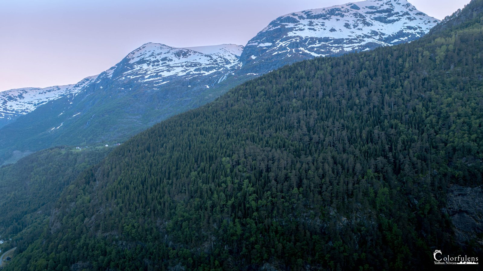 Paysage montagneux enneigé au crépuscule avec forêt de conifères, lumière adoucissante, invitant à la sérénité et à la contemplation de la nature.