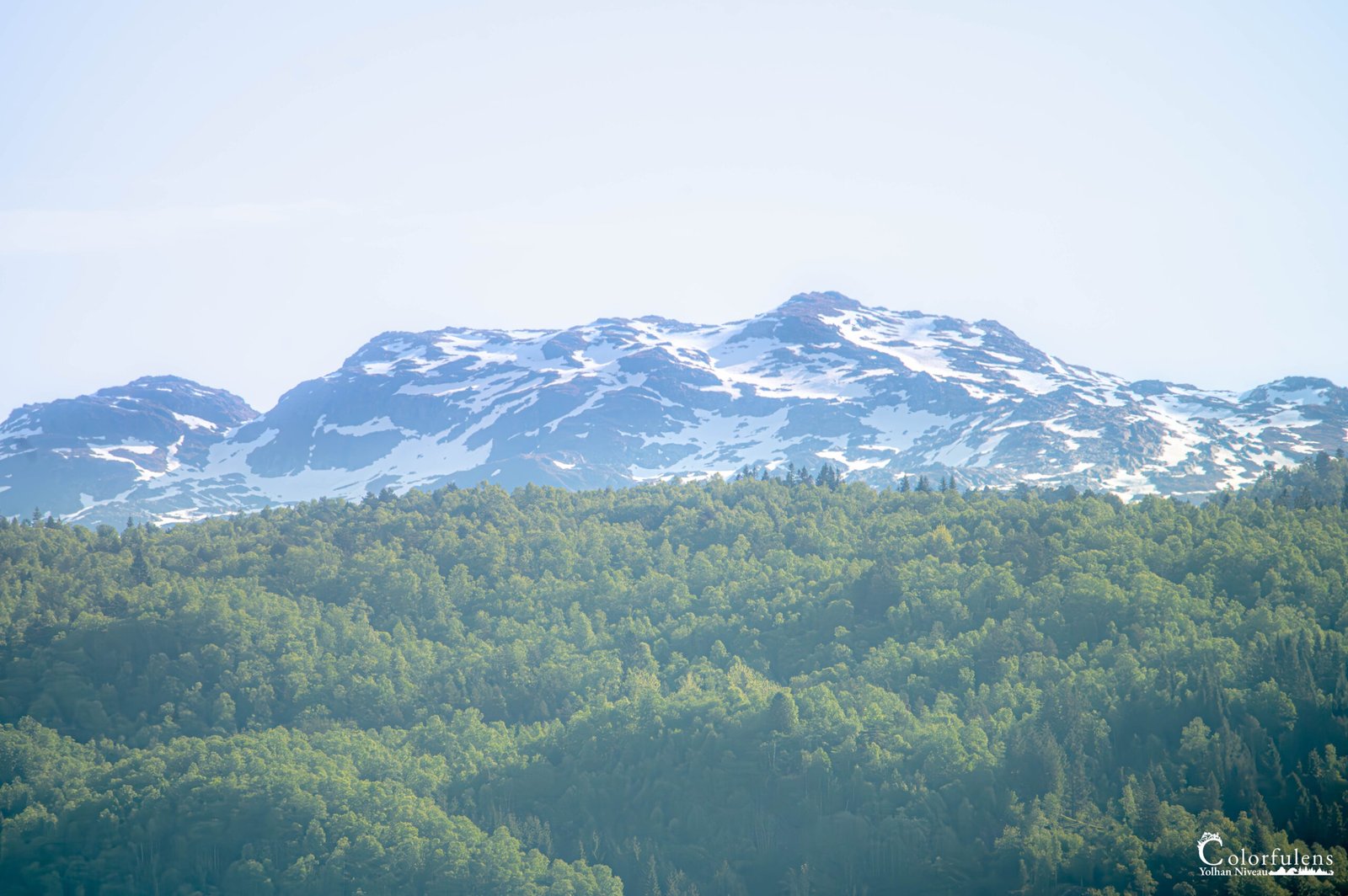 Forêt verdoyante et montagnes enneigées offrent un spectacle naturel à Tysse, Norvège.