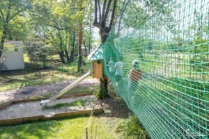 Aire de jeux au camping Merendella avec mur d'escalade et tyrolienne