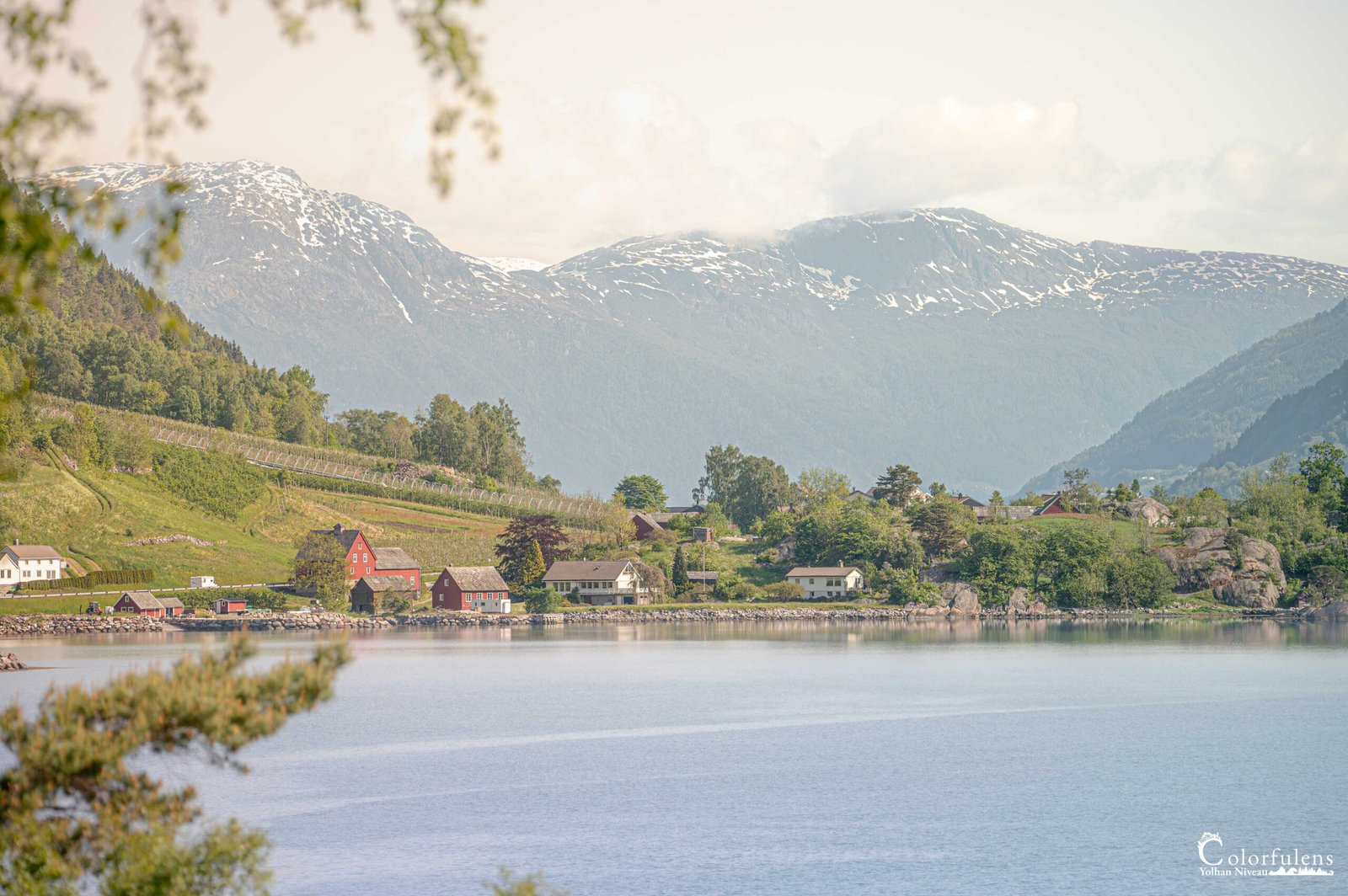 Cette photographie illustre un village norvégien serein niché au bord d'un fjord, entouré de majestueuses montagnes enneigées, créant une atmosphère de calme et d'harmonie avec la nature.