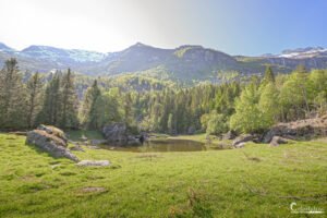 Paysage idyllique de montagne avec lac et forêt sous le soleil