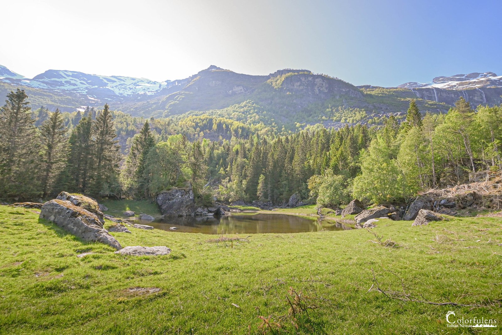 Paysage idyllique de montagne avec lac et forêt sous le soleil