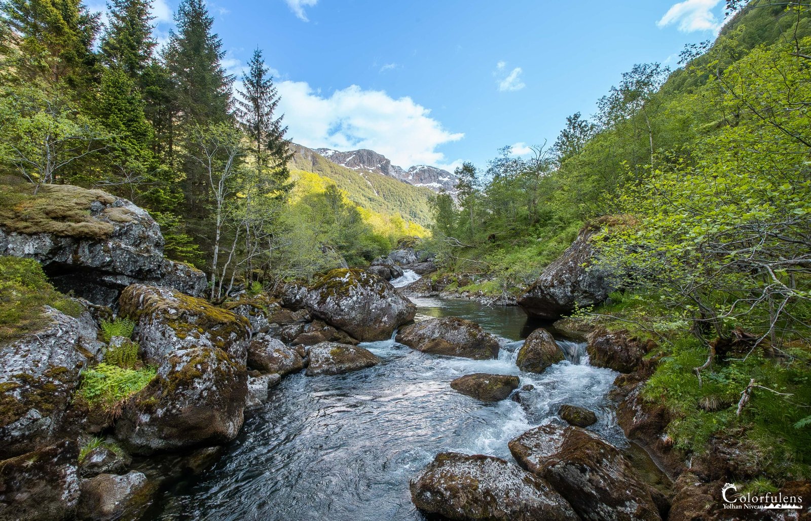 Vue d'une rivière vive traversant une vallée montagneuse verdoyante avec rochers moussus et arbres luxuriants.