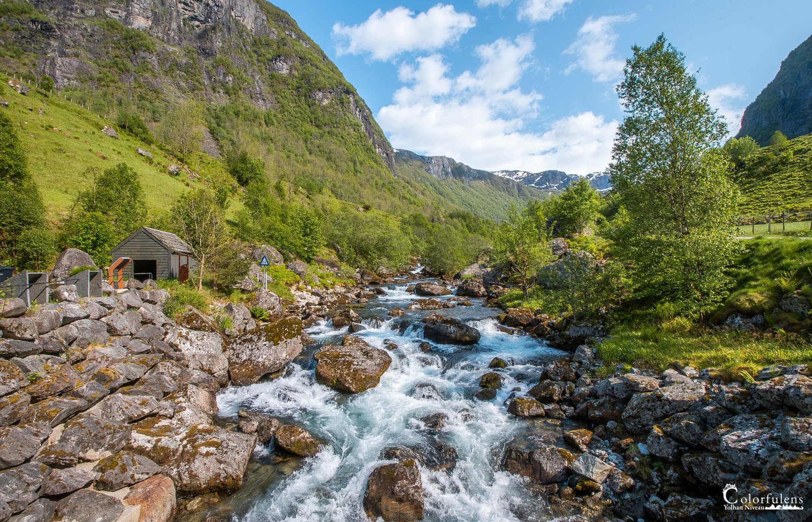 Vue pittoresque d'une rivière cristalline traversant un paysage montagnard verdoyant, entourée de rochers moussues et d'arbres luxuriants.