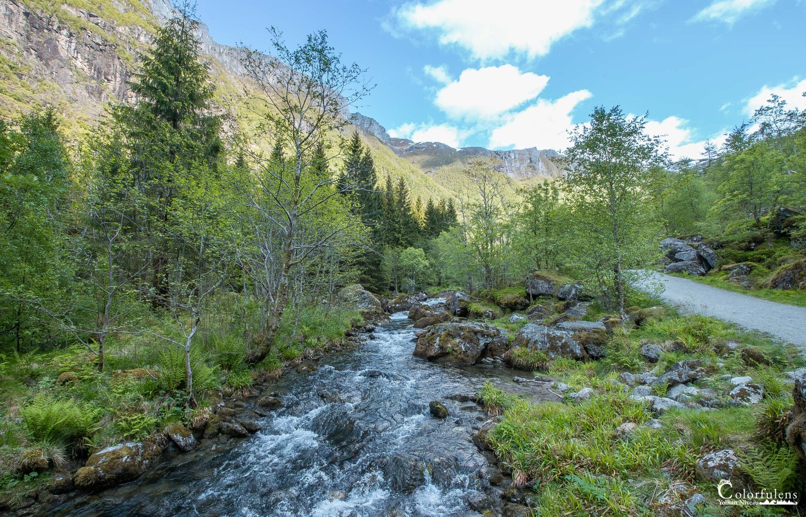 Paysage naturel de montagne avec un chemin de randonnée serpentant le long d'une rivière claire et animée, entouré d'une végétation verdoyante.