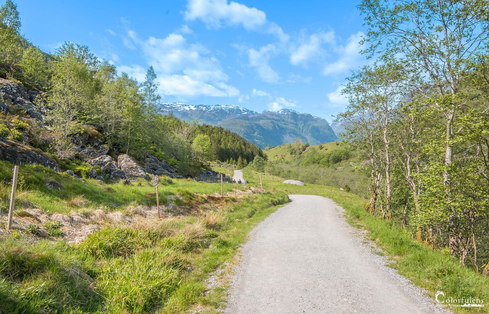 Sentier en montagne avec verdure estivale et sommets enneigés, ciel bleu dégagé