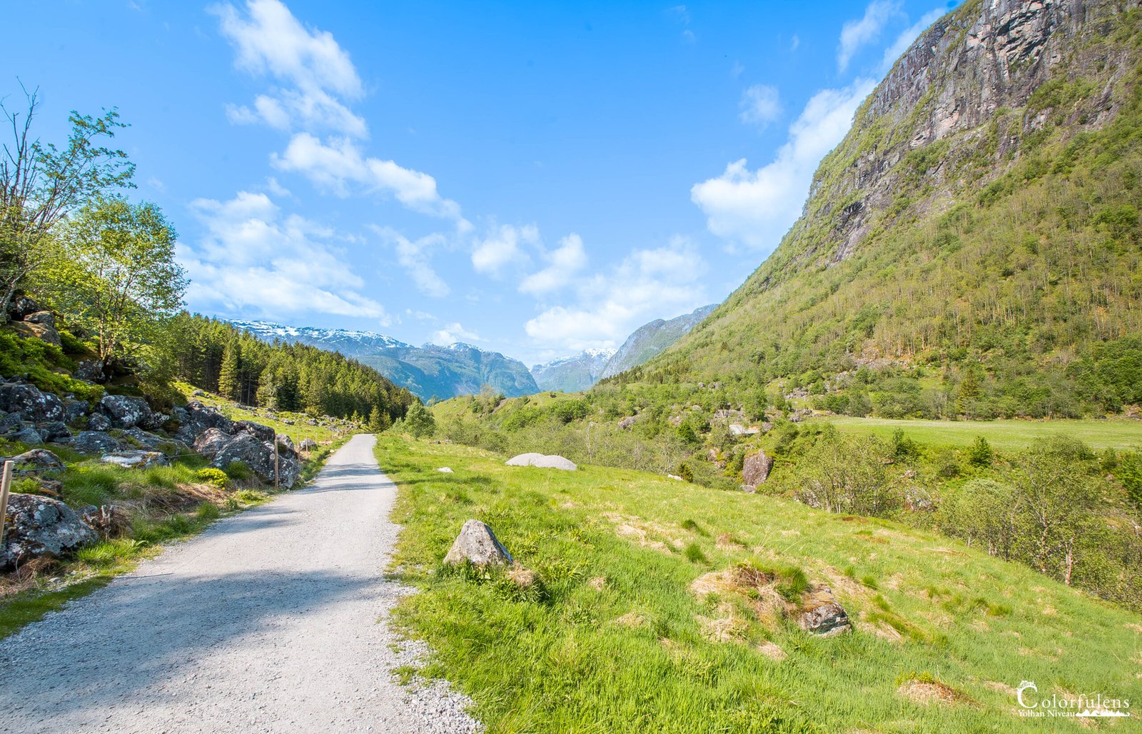 Une promenade sur ce sentier de montagne offre une harmonie parfaite entre le vert printanier et le blanc des sommets, sous un ciel bleu éclatant.