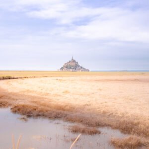 Pastel-Michel