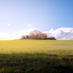 Le Territoire des Blaireaux