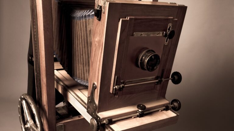 Les pionniers de la photographie animalière : Du daguerréotype aux explorations naturelles