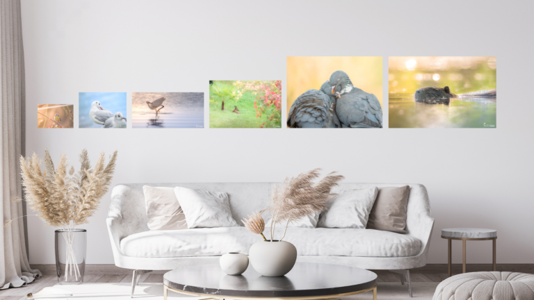 Comment bien choisir son impression, sur toile, plexisglas ou fine art chez soi