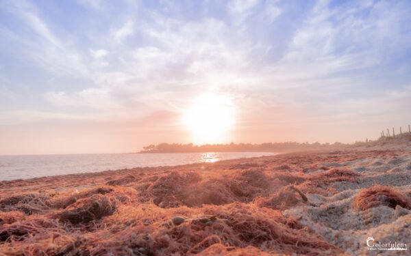 Atmosphère sereine au coucher du soleil sur la plage de Suscinio, avec des couleurs pastel rosées et une ambiance de tranquillité.