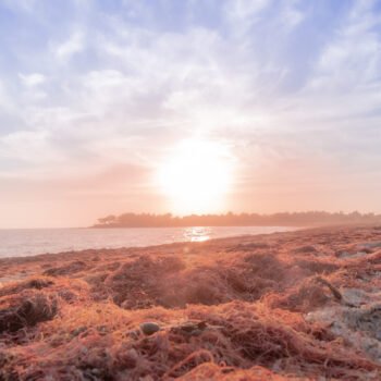 Atmosphère sereine au coucher du soleil sur la plage de Suscinio, avec des couleurs pastel rosées et une ambiance de tranquillité.
