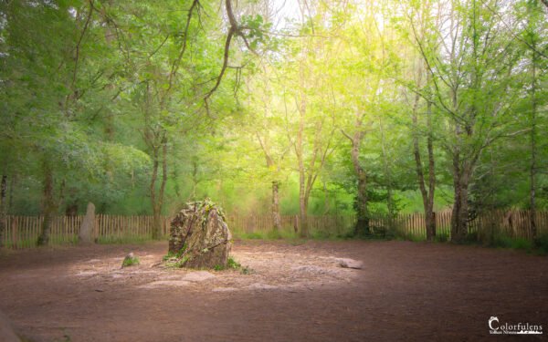 Site légendaire en forêt de Brocéliande, où la lumière crée une ambiance magique autour du tombeau de Merlin, influençant l'atmosphère mystique.