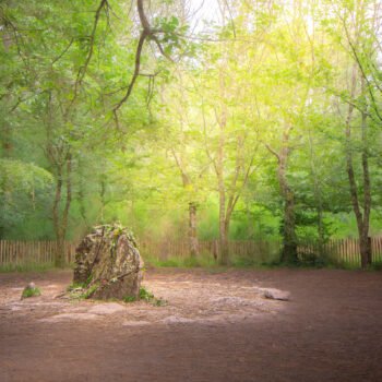 Site légendaire en forêt de Brocéliande, où la lumière crée une ambiance magique autour du tombeau de Merlin, influençant l'atmosphère mystique.