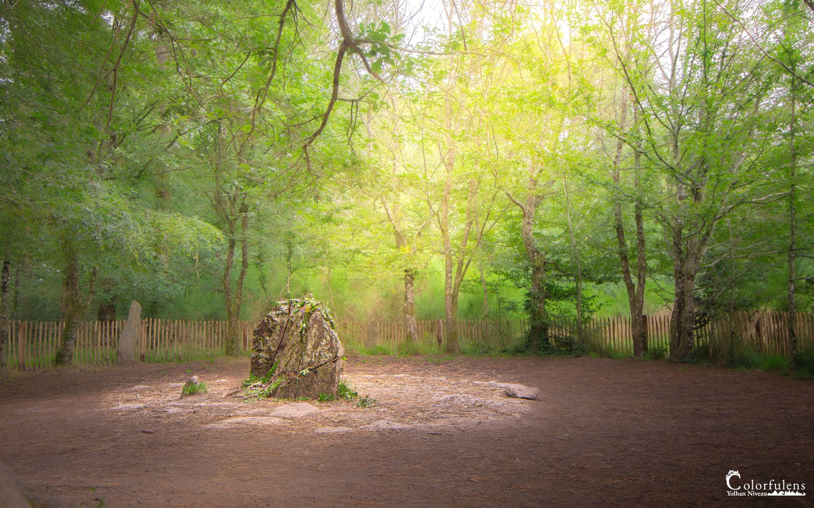 Site légendaire en forêt de Brocéliande, où la lumière crée une ambiance magique autour du tombeau de Merlin, influençant l'atmosphère mystique.