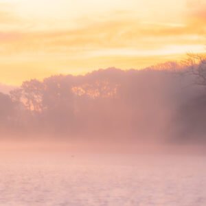 Lever de soleil brumeux à l'étang de Noyalo avec des tons pastel et une ambiance sereine.