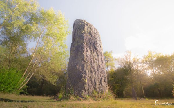 Menhir mystérieux baigné dans une lumière matinale en forêt bretonne, éveillant légendes et respect