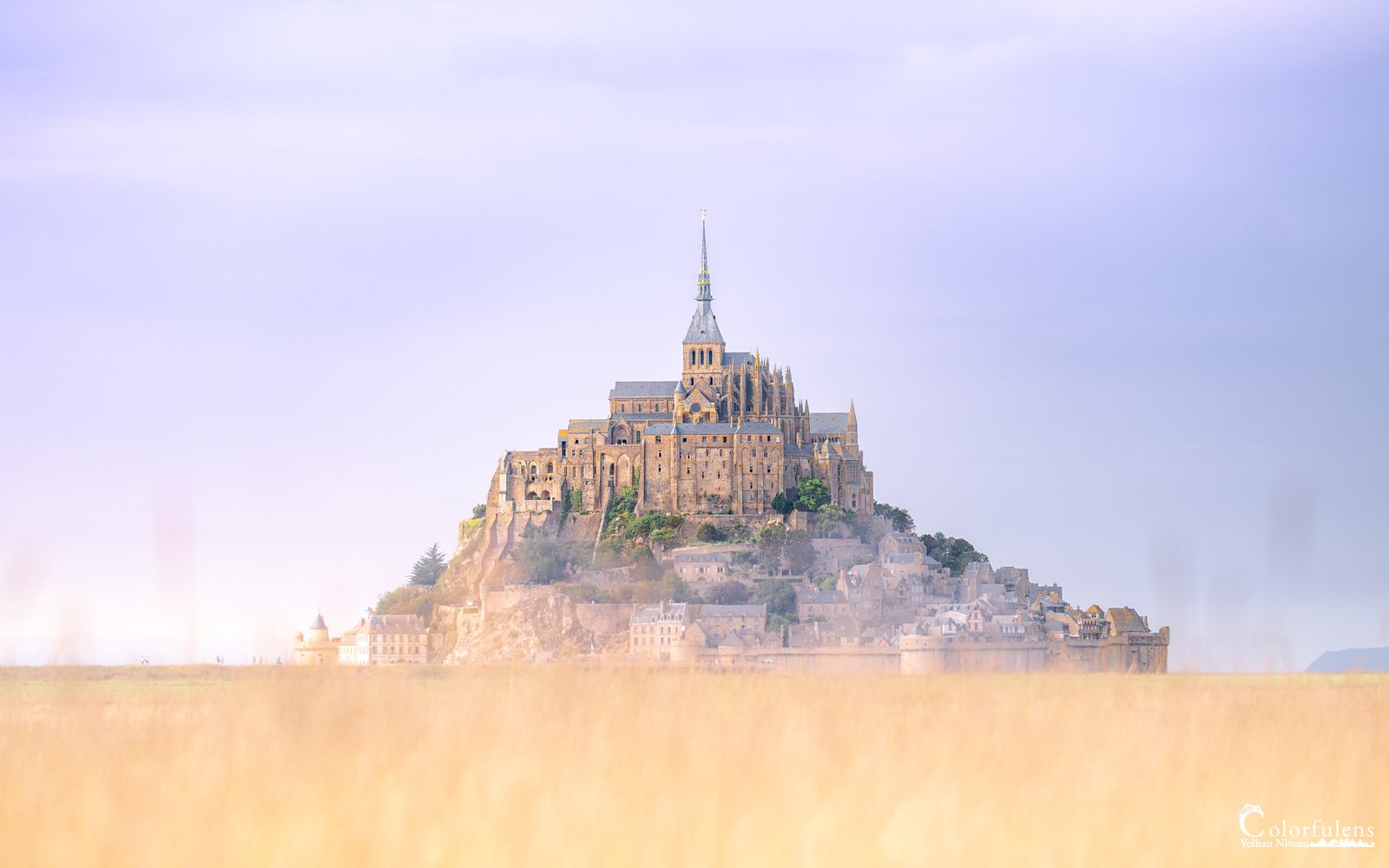 Le Mont Saint-Michel se dresse majestueusement dans une mer de brume matinale, surplombant un champ doré, créant une scène à couper le souffle qui témoigne de son histoire.