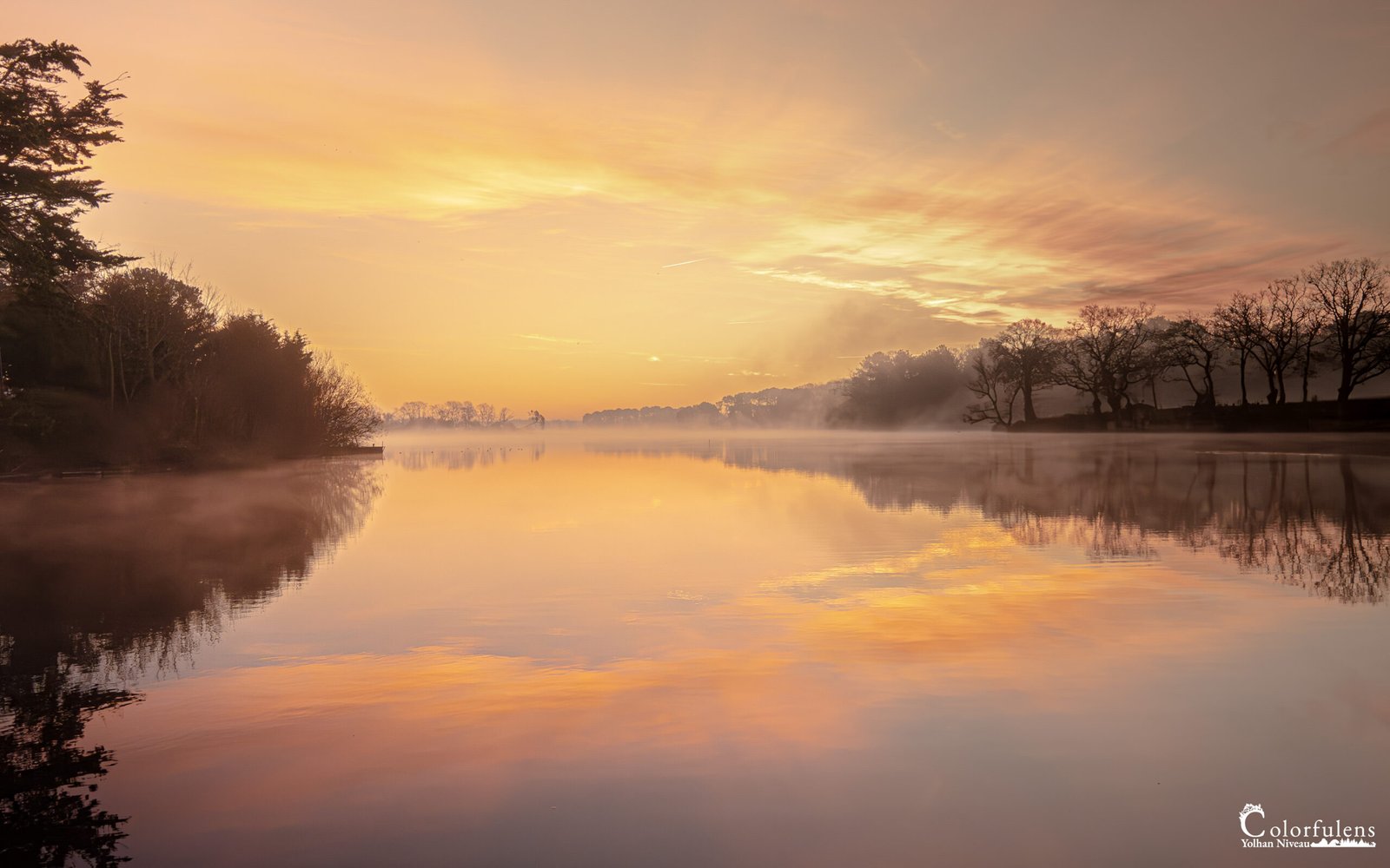 Image sereine d'une aube brumeuse avec reflets chatoyants sur un étang.