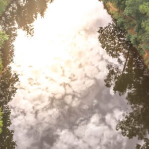 Les reflets calmes d'un étang en forêt capturent la beauté sereine de la nature, où ciel nuageux et arbres s'entrelacent dans une harmonie parfaite.