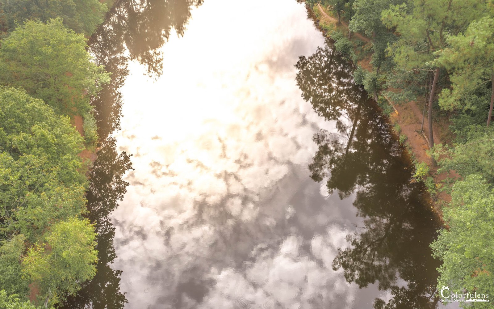 Les reflets calmes d'un étang en forêt capturent la beauté sereine de la nature, où ciel nuageux et arbres s'entrelacent dans une harmonie parfaite.
