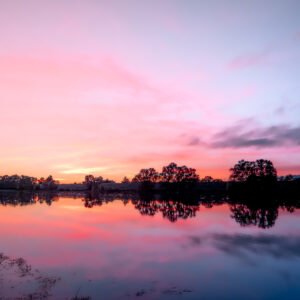 Crépuscule serein sur la Loire avec reflets roses et silhouettes d'arbres
