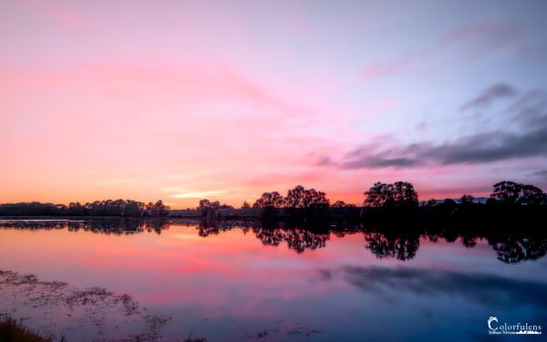 Crépuscule serein sur la Loire avec reflets roses et silhouettes d'arbres