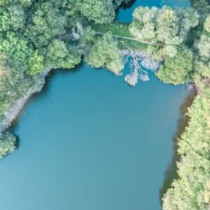 Une vue aérienne captivante montrant un lac paisible et une forêt colorée dans le Morbihan, soulignée par un arbre tombé offrant une dynamique unique.