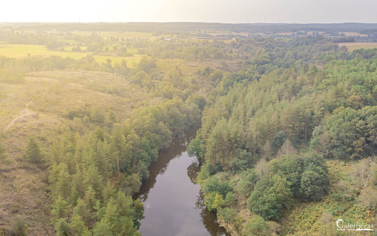 Vue aérienne d'une vallée forestière ensoleillée avec une rivière sinueuse, créant un paysage naturel préservé et harmonieux