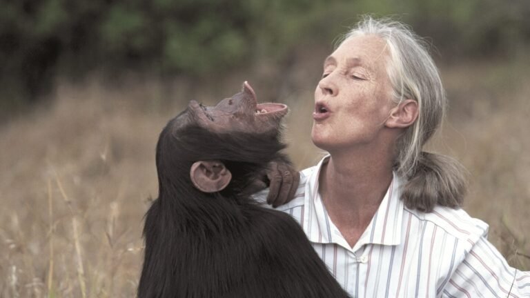 Cette image émotive illustre une scène rare et touchante où l’humain et l’animal se connectent à travers le chant, partageant un moment de complicité et de joie en pleine nature.